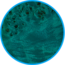 Ocean Blue Burst Burl