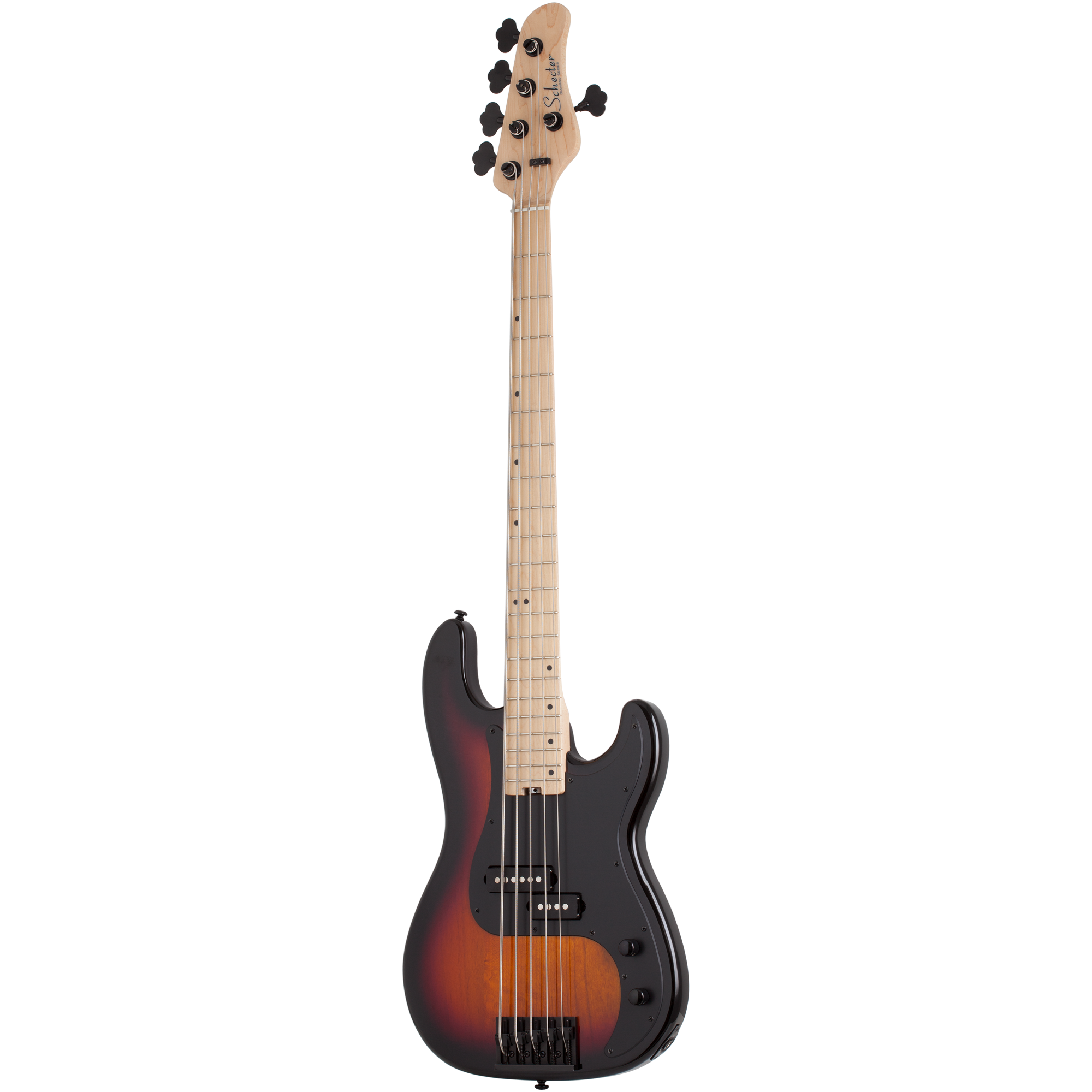 今年も話題の P-5 ミュージシャン